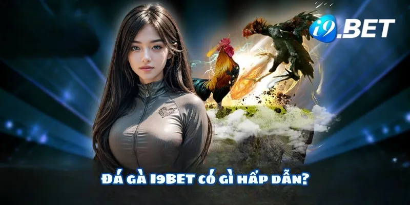 Đá gà I9BET có gì hấp dẫn?